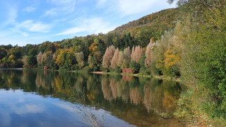Herbstleuchten